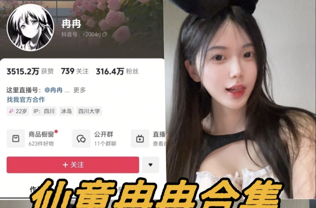 仙童冉冉微密付费写真图片以及视频合集