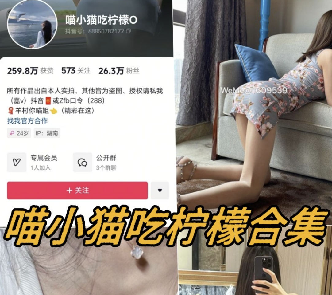 喵小猫吃柠檬 微密圈微信众筹写真合集8套