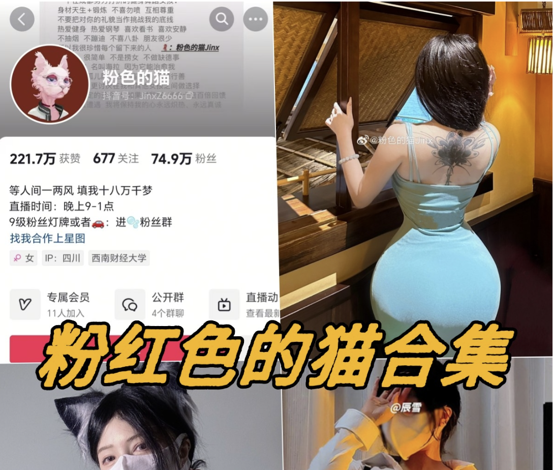 粉色的猫jinx微密圈内购资源写真视频合集