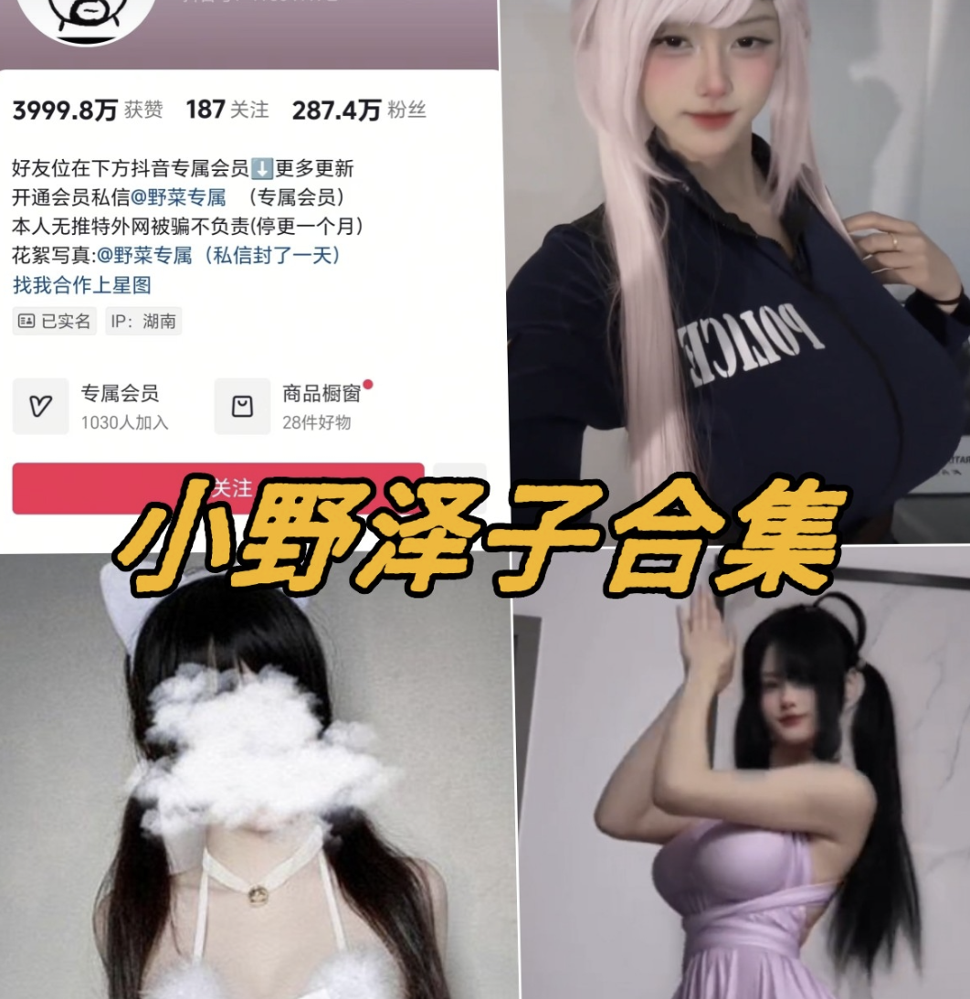 小野泽子微密圈全套付费写真视频合集下载