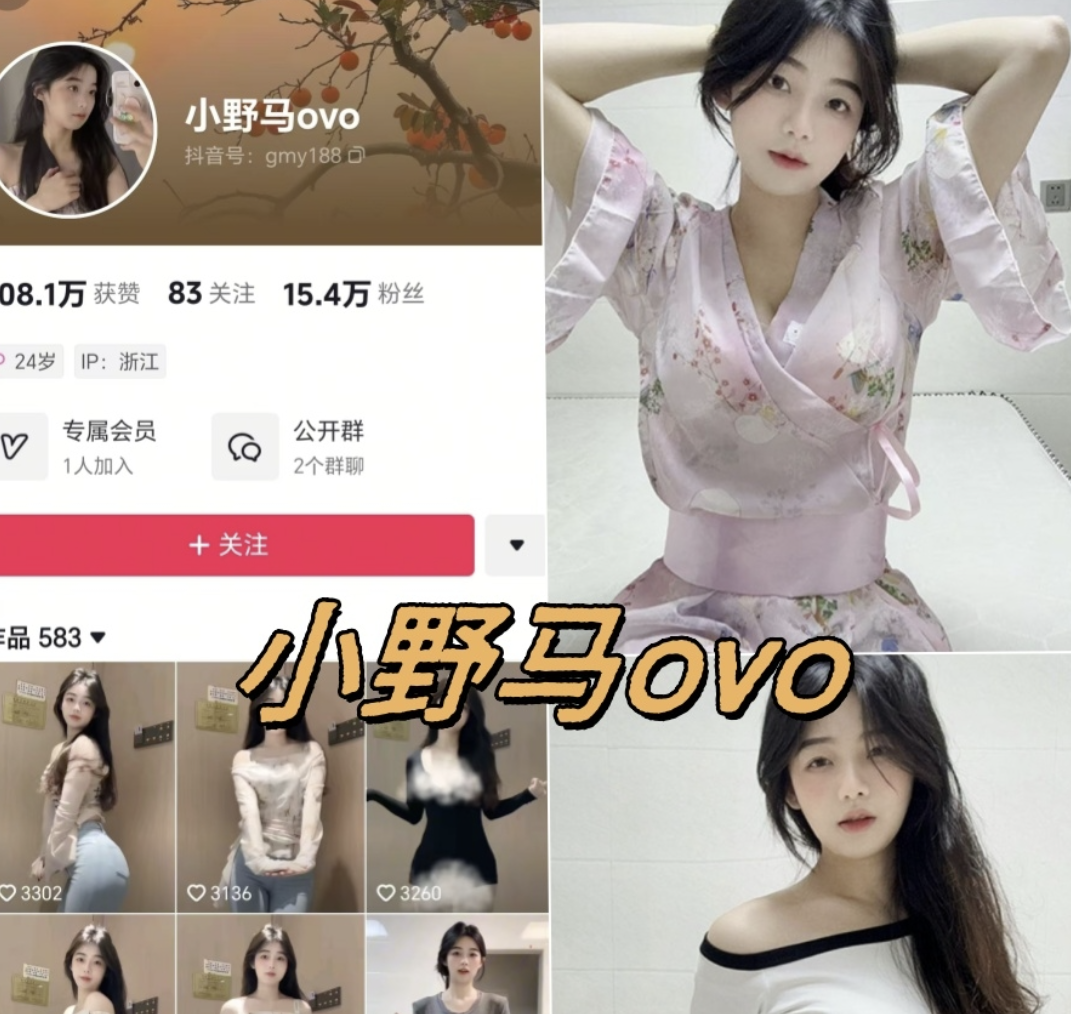 小野马ovo微密圈全套付费写真合集下载