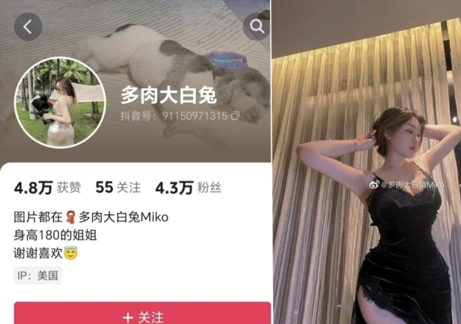 多肉大白兔 miko微密圈全部付费作品视频合集