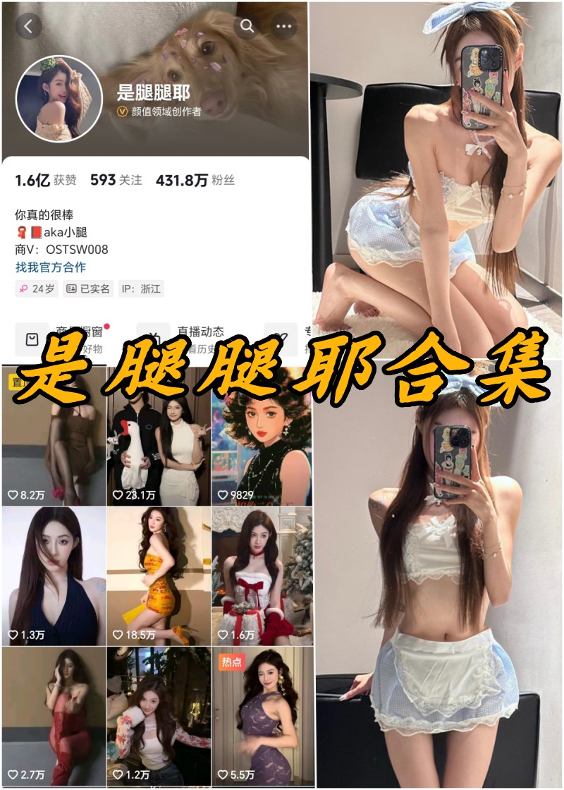 是腿腿耶微密付费写真图片及视频合集