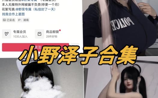 小野泽子微密圈全套付费写真视频合集下载