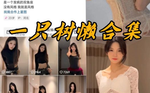 一只树懒微密付费写真合集