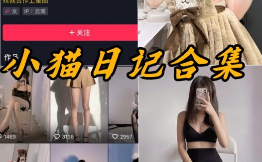 小猫日记微密圈全部写真以及视频合集