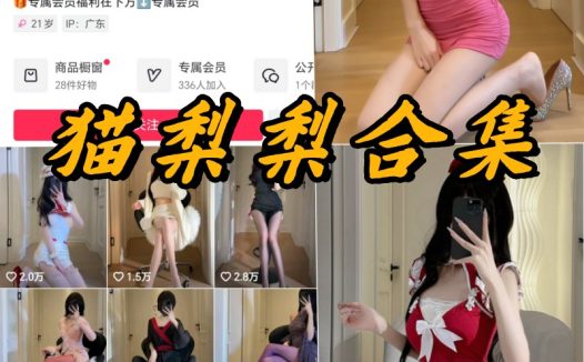 猫梨梨微密圈写真及视频合集