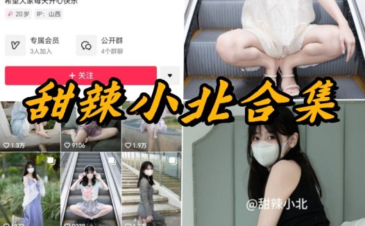 甜辣小北微密圈全部付费写真合集