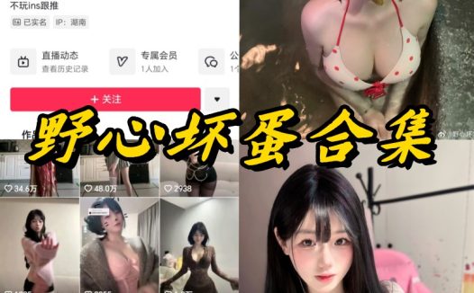 野心坏蛋微密圈全套付费写真